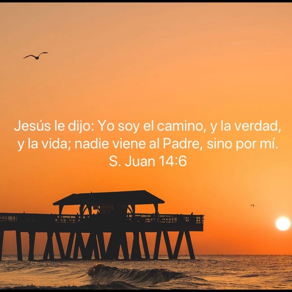 Meet your Posher, Lourdes - Picture 1 of 1